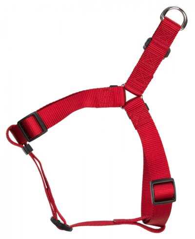 3ac760 3e5582c947fa48a59b58990778456dc1mv2