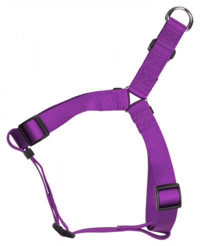 3ac760 ceb8ec74b4954686a957487ff9b4b737mv2