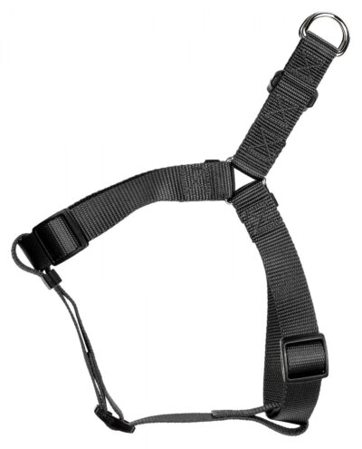 3ac760 ff1e924039174e439264199445f67ad5mv2