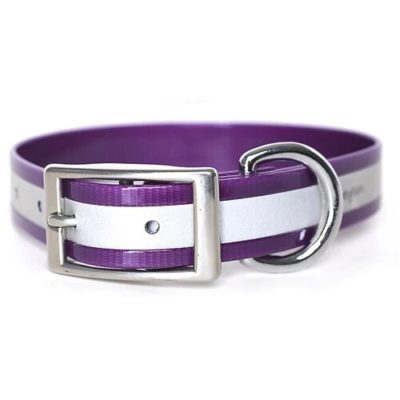 purpleregreflectivejpeg