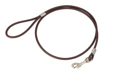 brownbiothaneropeleashjpeg