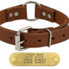 1 in leather center ring collar 366