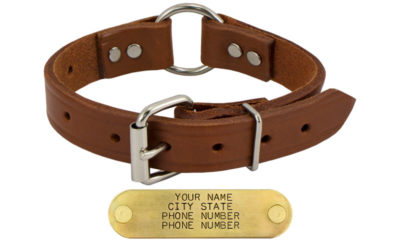 1 in leather center ring collar 366