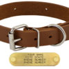 1 in leather standard dog collar 343