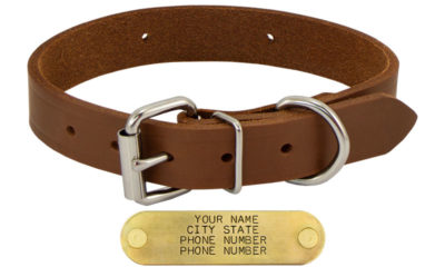 1 in leather standard dog collar 343