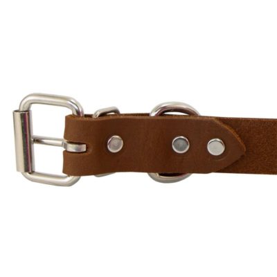 leather collar back of buckle detail 1176
