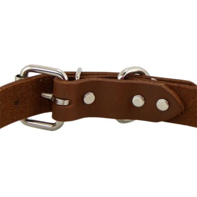 leather collar buckle inside detail 1230