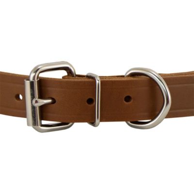leather collar front of buckle detail 1267