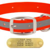 orange 1 in reflective standard collar 86
