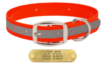 orange 1 in reflective standard collar 86