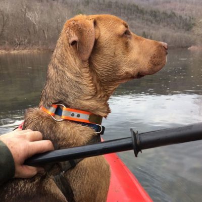 replacement launcher dummy mopix 129037